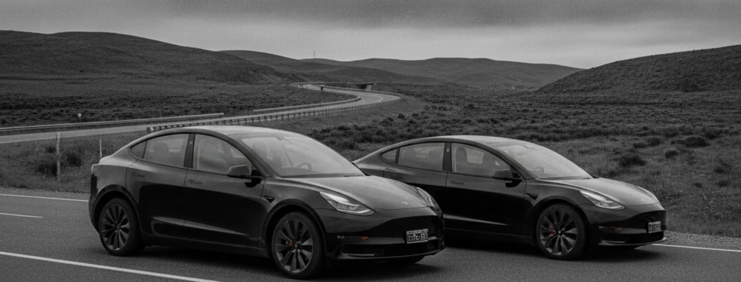 Tesla Model 3 y Model Y en una ruta abierta