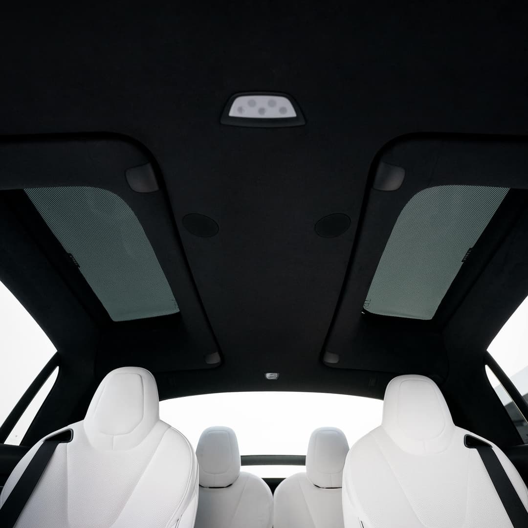 Parasol de techo para Model X
