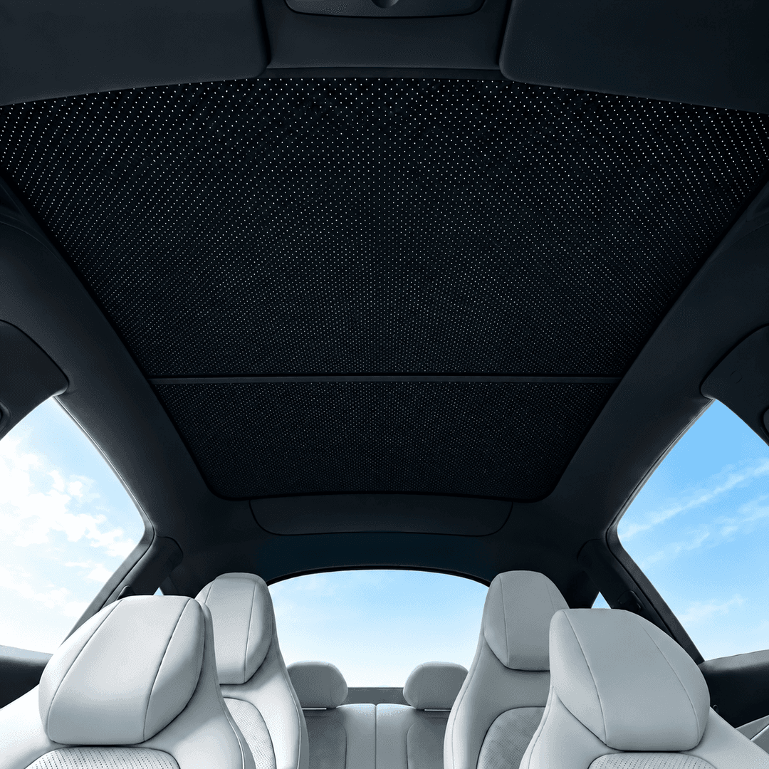 Parasol de techo para Model Y L